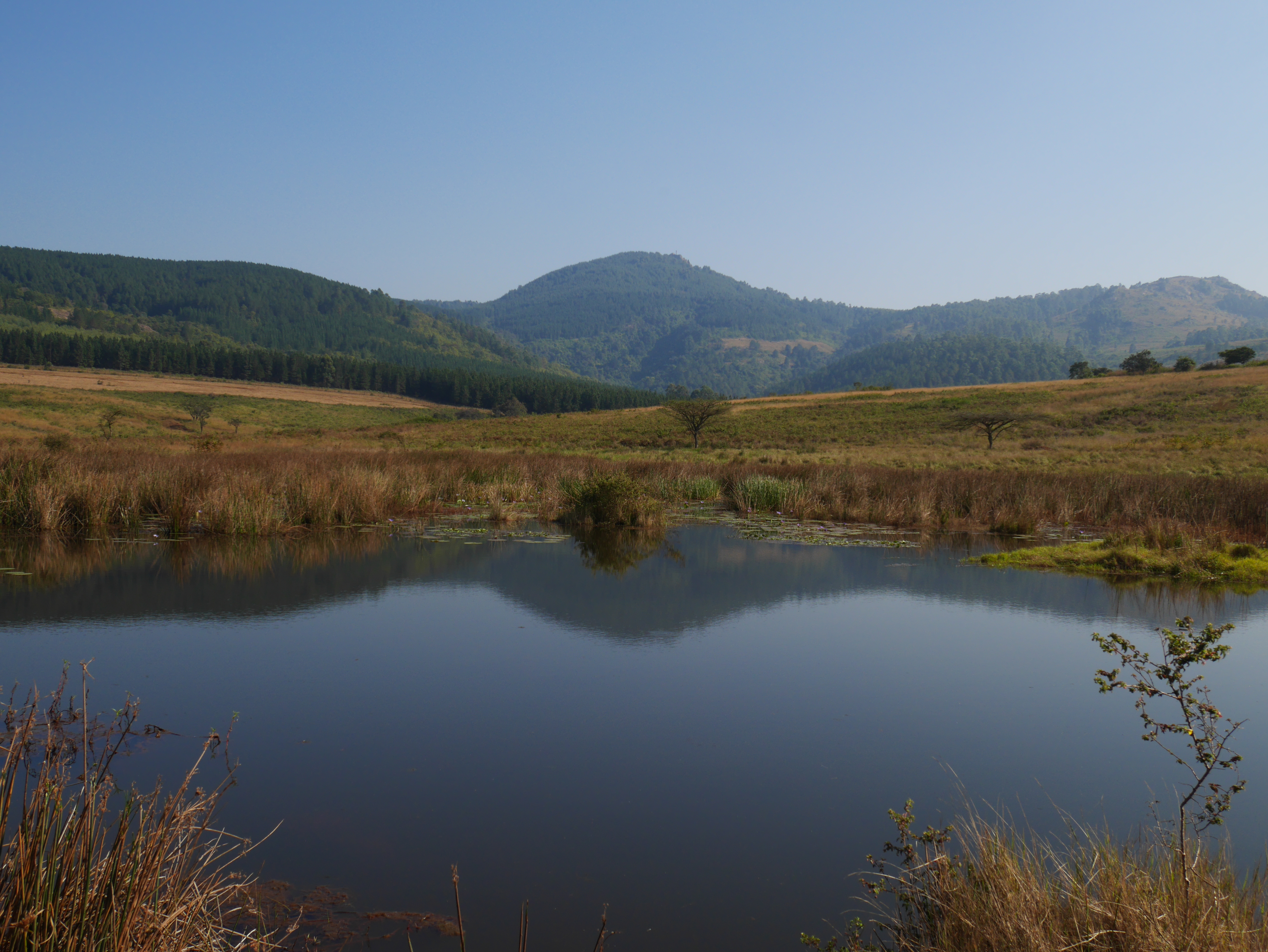 South Africa Swaziland