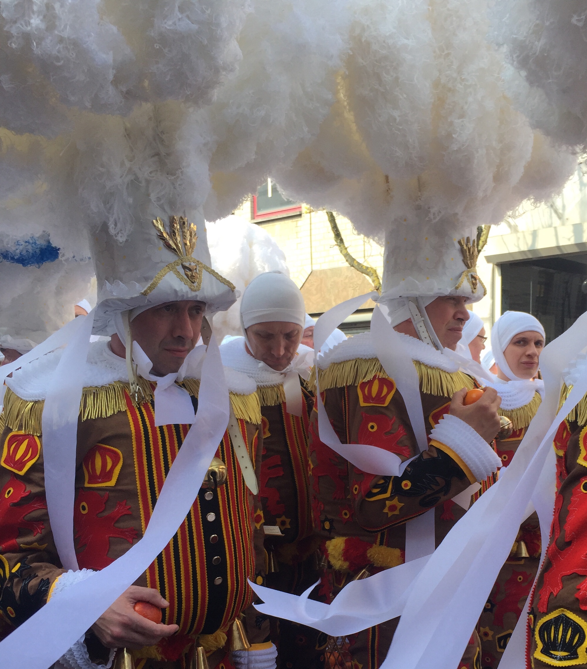 Carnival Gilles premium