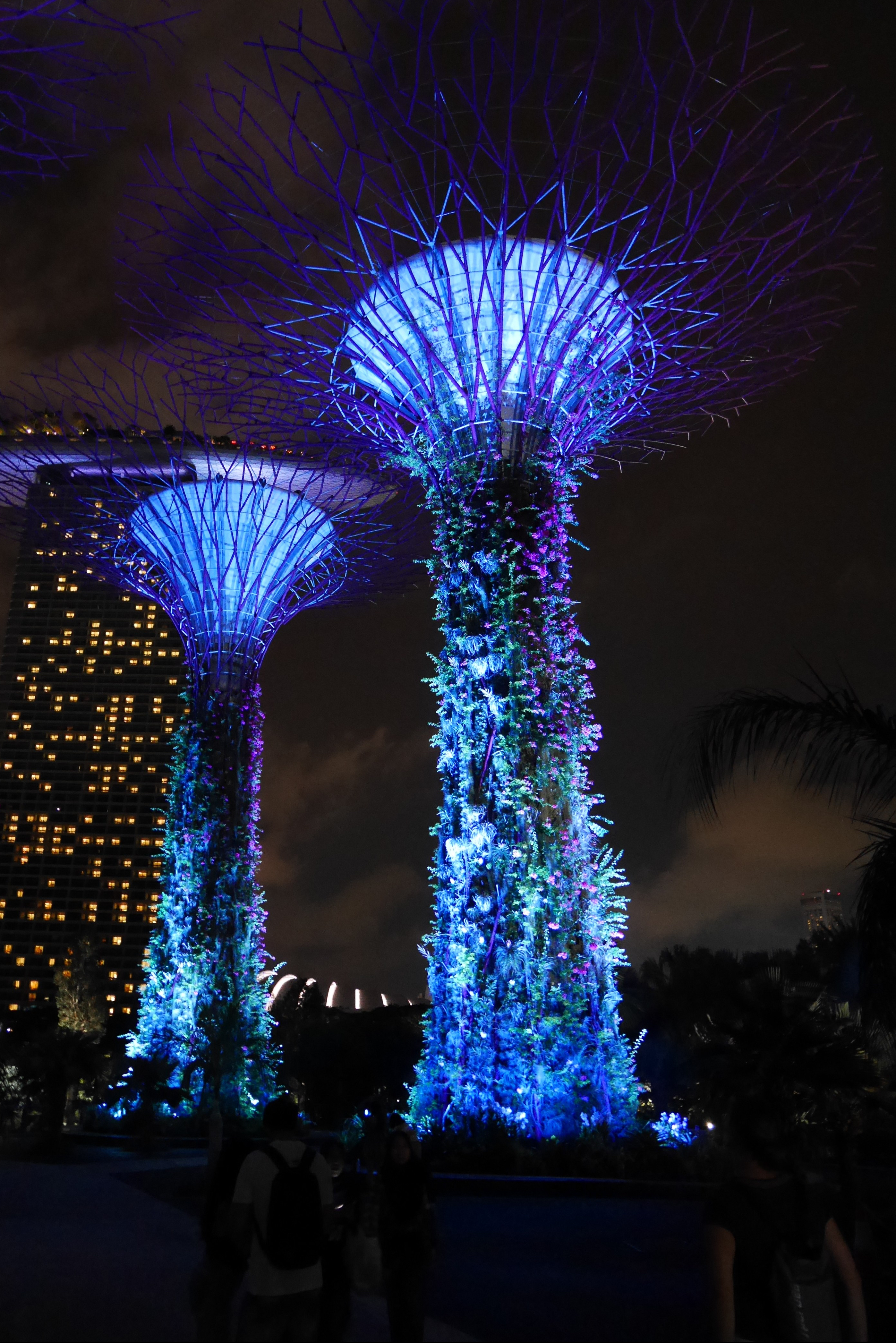 Singapore Garden by the Bay