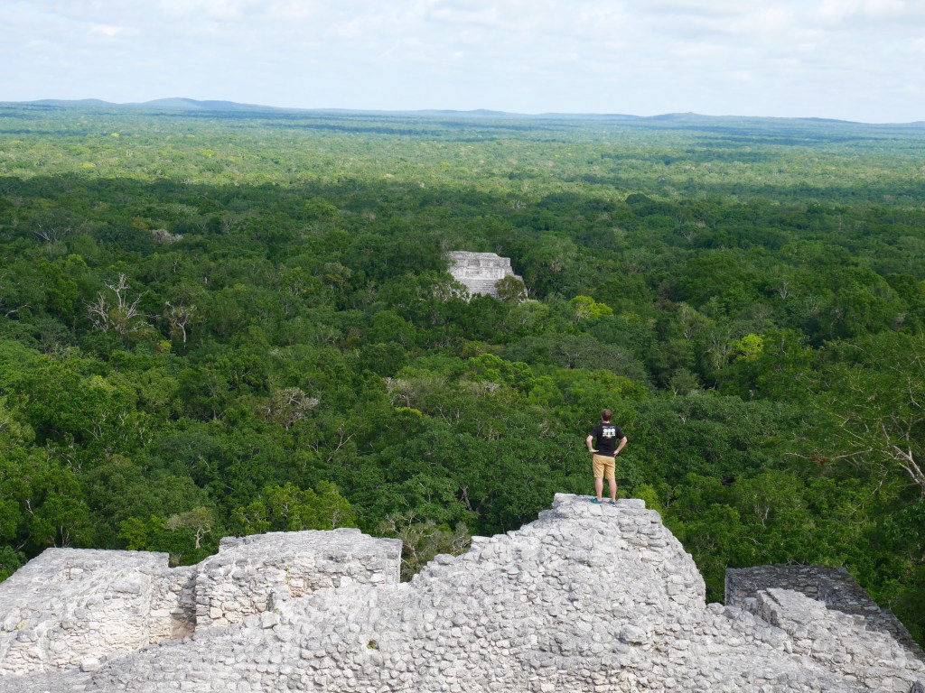 Calakmul panorama