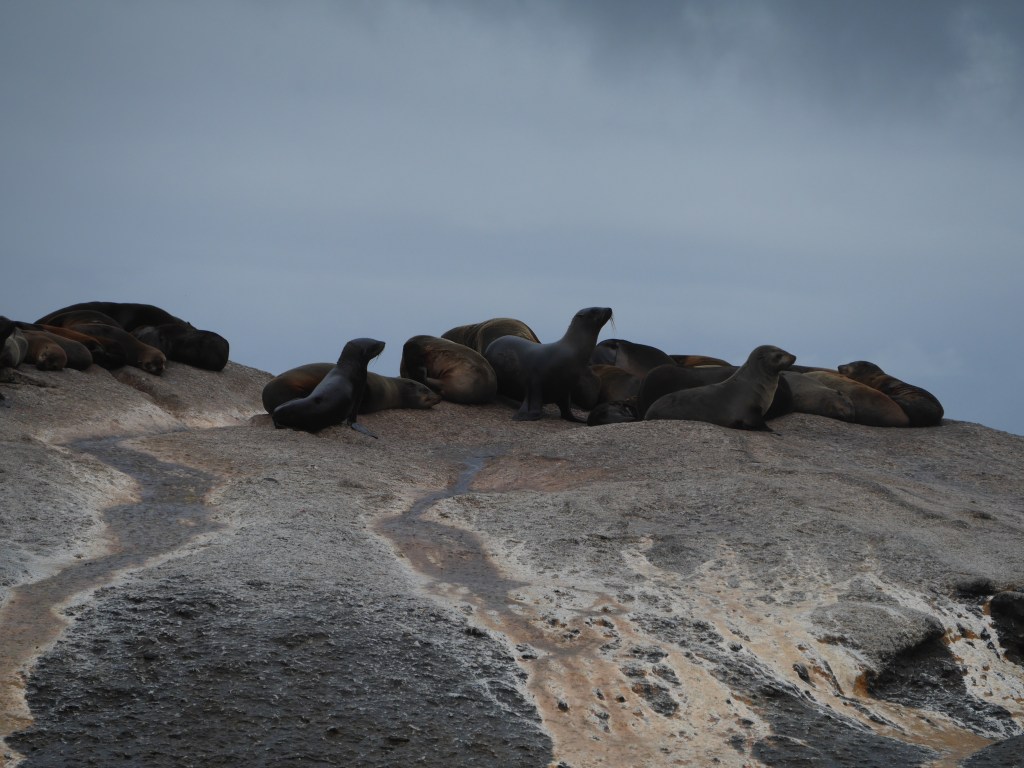 Cape Town: A day-trip to the Cape of Good&nbsp;Hope